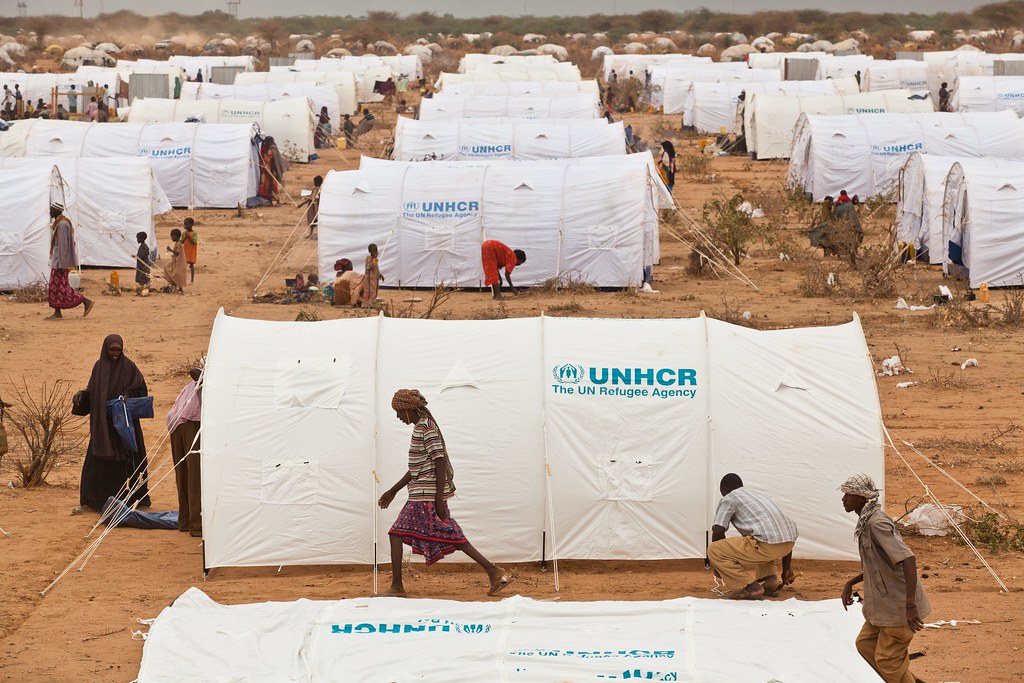 El desafío humanitario del siglo: ¿Hacia dónde va la respuesta global a ...