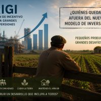RIGI y pequeños productores: ¿quiénes quedan afuera del nuevo modelo de inversiones en Argentina?