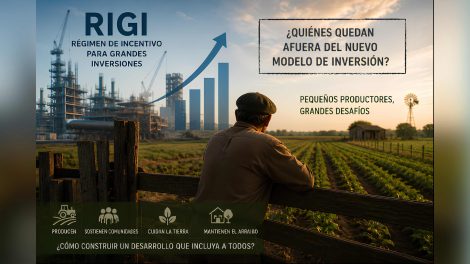 RIGI y pequeños productores: ¿quiénes quedan afuera del nuevo modelo de inversiones en Argentina?