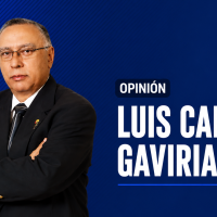 Luis Carlos Gaviria Echavarría