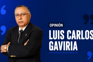 Luis Carlos Gaviria Echavarría