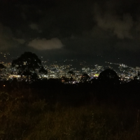 Entretanto, Alejandro Zapata Espinosa, El Pedregal, Colombia, 2021