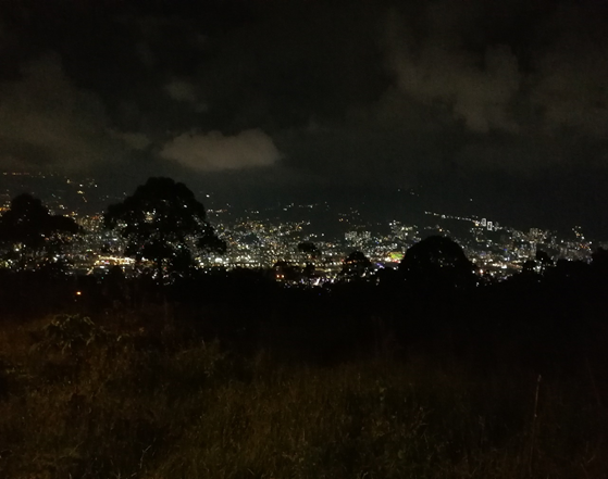 Entretanto, Alejandro Zapata Espinosa, El Pedregal, Colombia, 2021